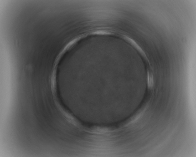 X0000113880531200910011134