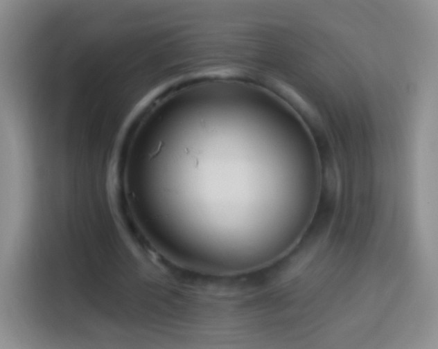 X0000113880532200910011134