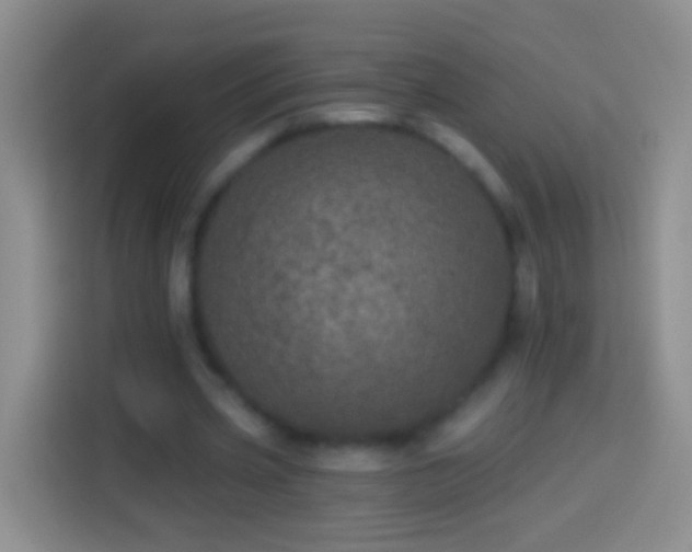 X0000113880533200910011134