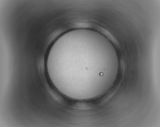 X0000113880534200910011134