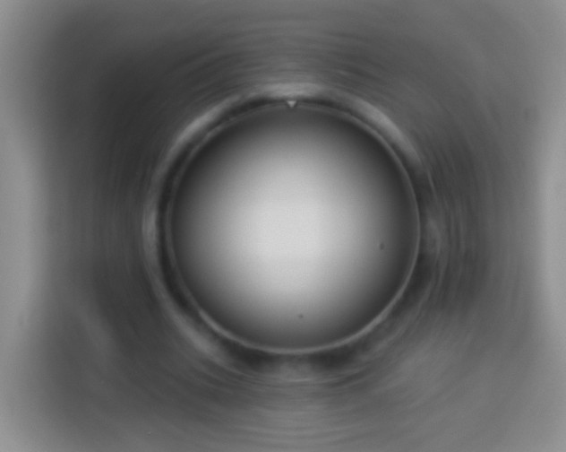 X0000113880535200910011134