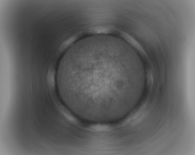 X0000113880537200910011134