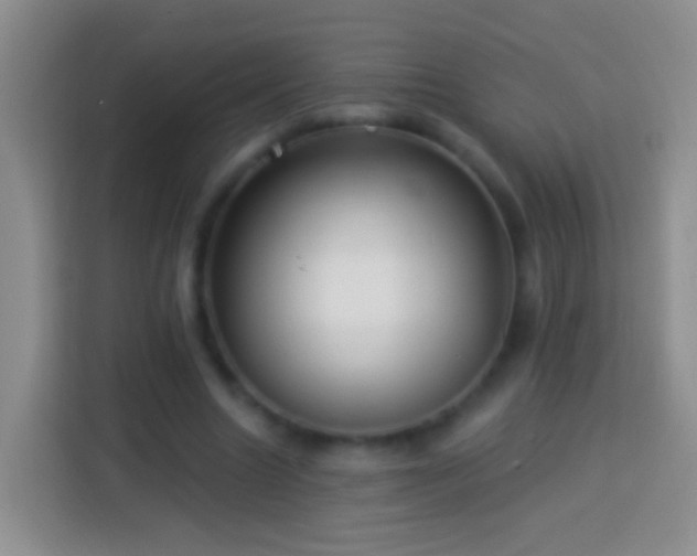 X0000113880538200910011134