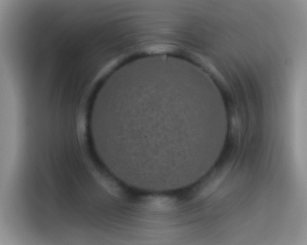 X0000113880539200910011134