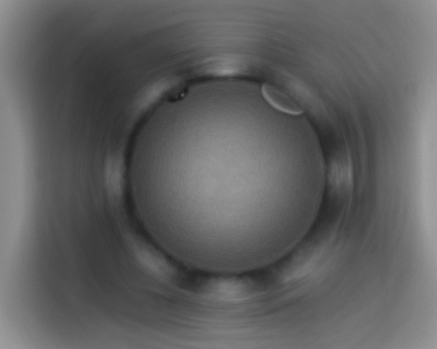 X0000113880540200910011134