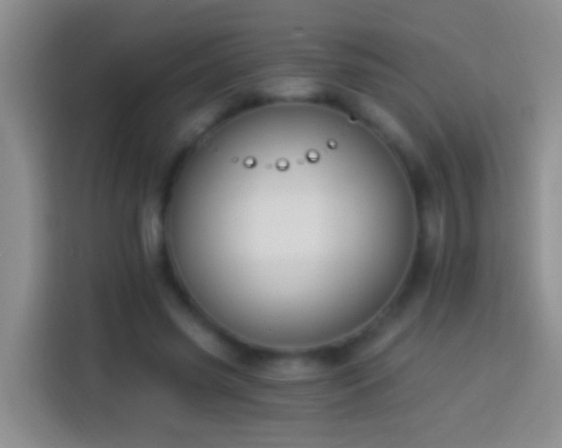 X0000113880541200910011134