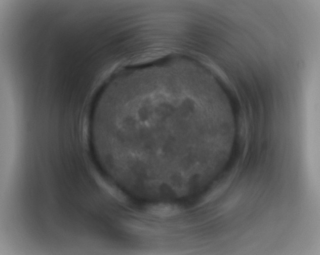 X0000113880542200910011134