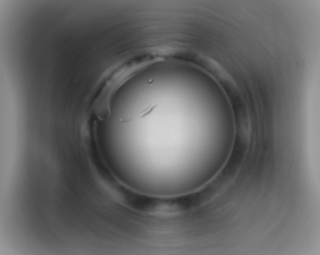 X0000113880543200910011134