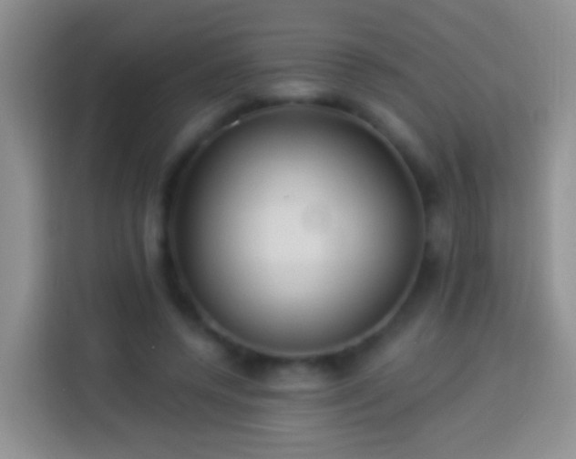 X0000113880544200910011134