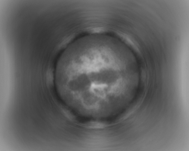 X0000113880545200910011134