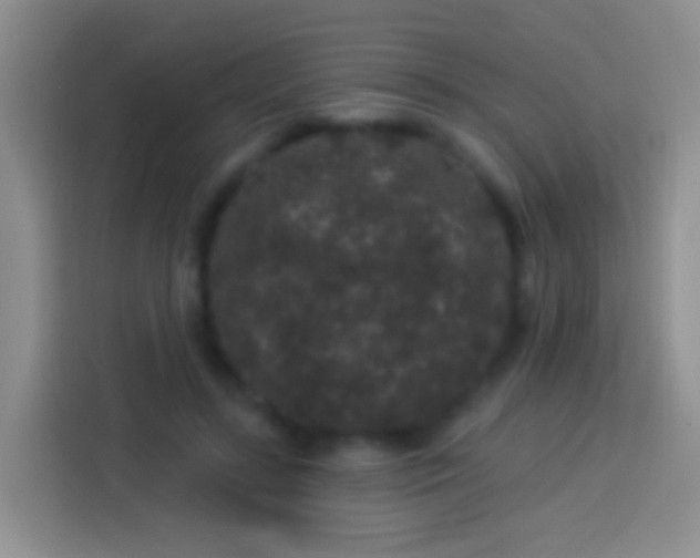 X0000113880547200910011134