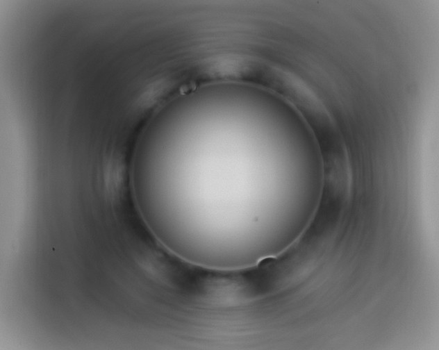 X0000113880548200910011134