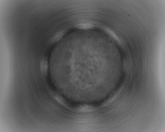 X0000113880549200910011134