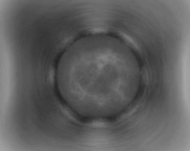 X0000113880550200910011134