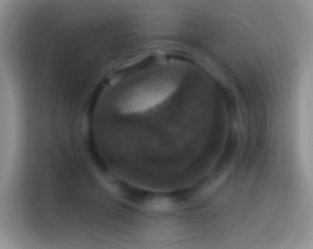 X0000113880551200910011134