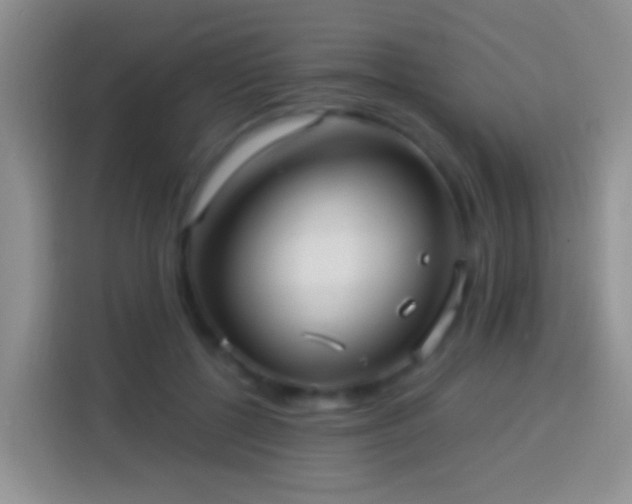 X0000113880552200910011134