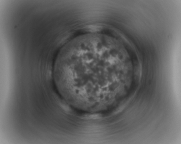 X0000113880553200910011134