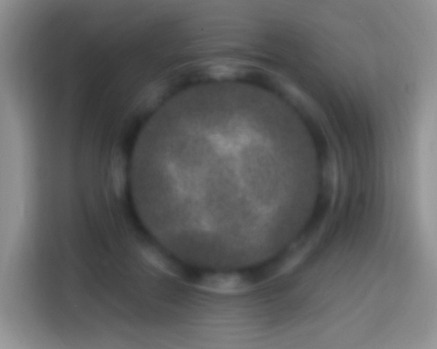 X0000113880554200910011134