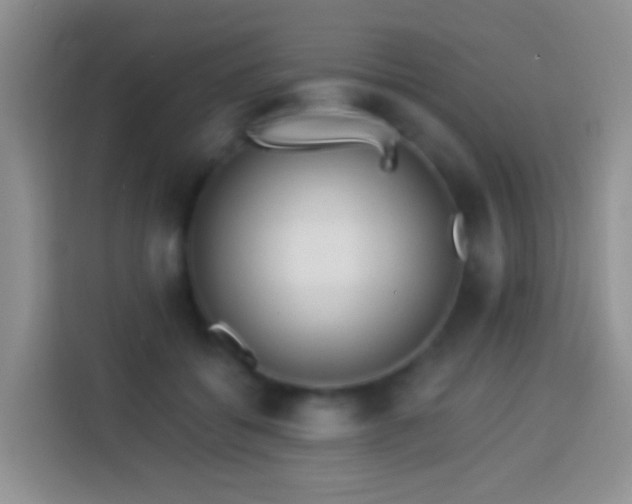 X0000113880556200910011134