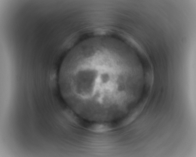 X0000113880557200910011134