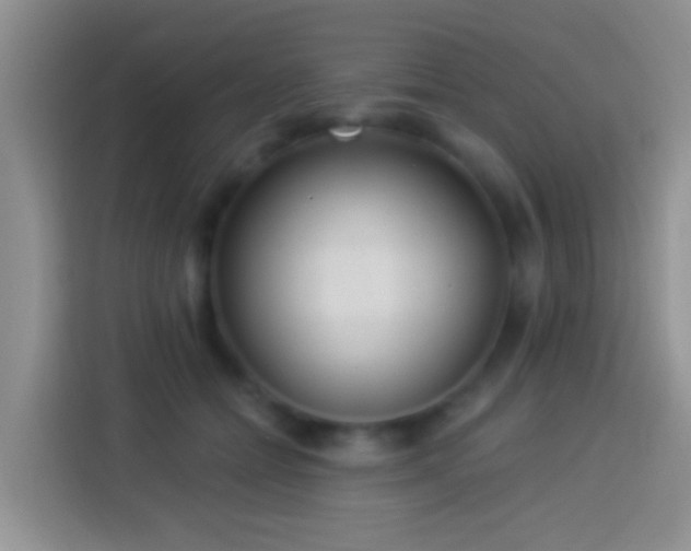 X0000113880558200910011134