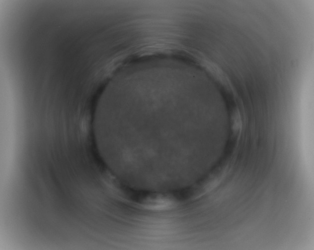 X0000113880559200910011135