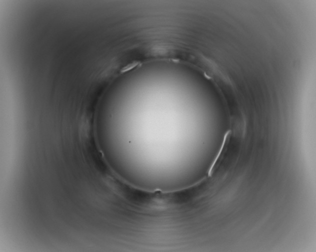 X0000113880560200910011135