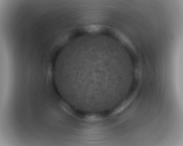 X0000113880561200910011135