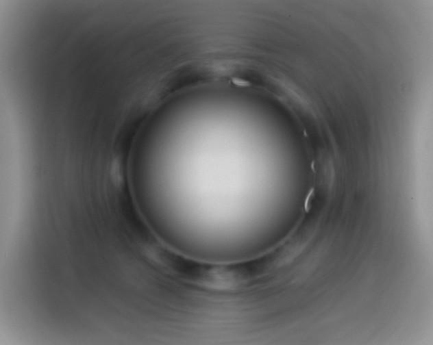 X0000113880562200910011135