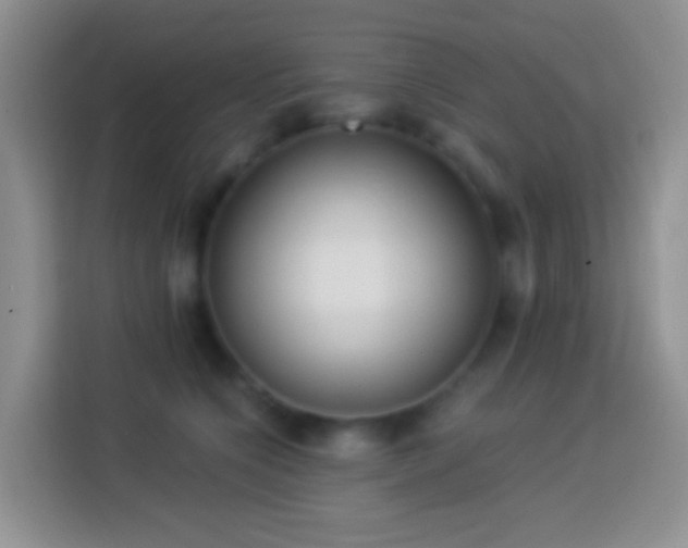 X0000113880564200910011135