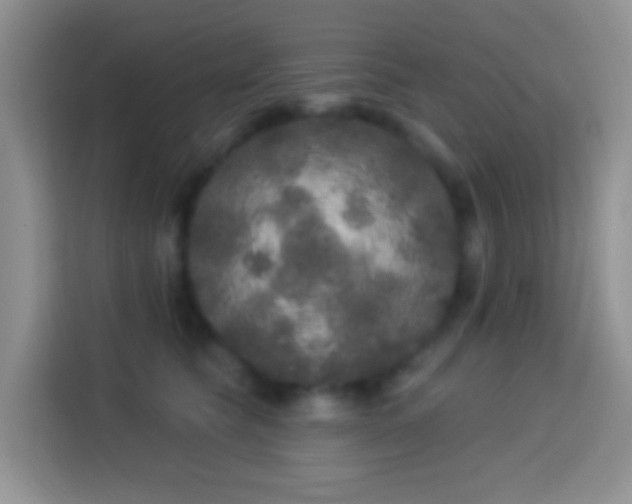 X0000113880565200910011135