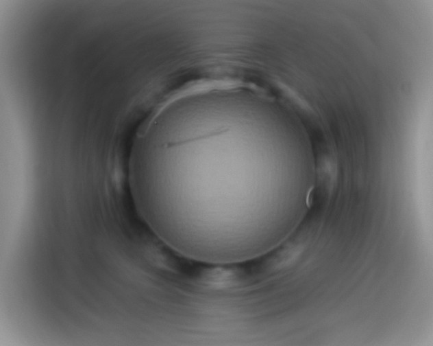 X0000113880566200910011135