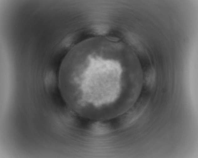 X0000113880568200910011135