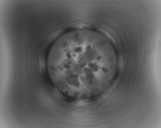 X0000113880569200910011135