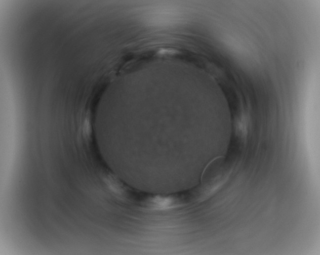 X0000113880570200910011135