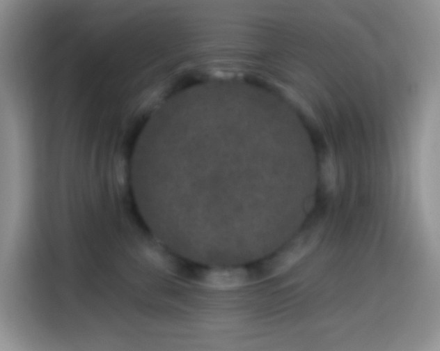 X0000113880571200910011135