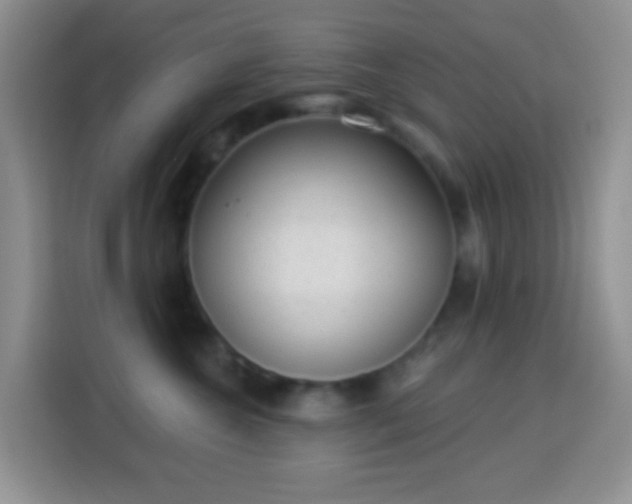 X0000113880572200910011135