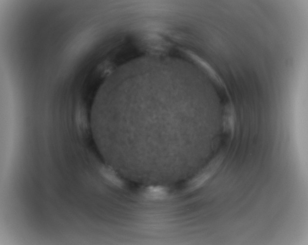 X0000113880573200910011135