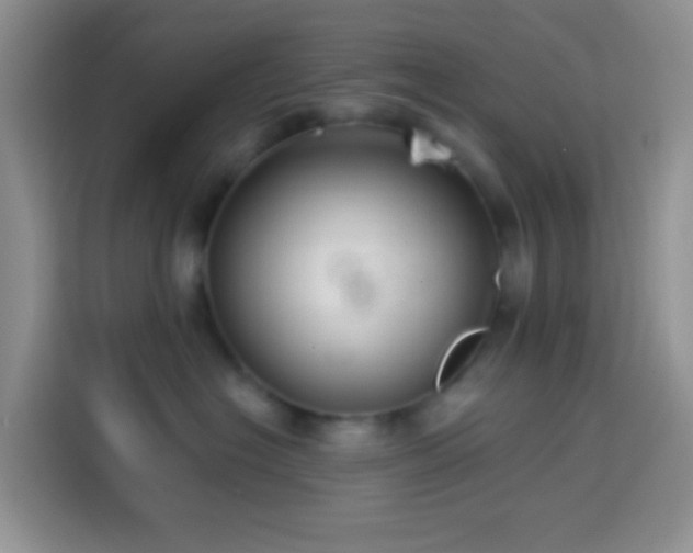 X0000113880574200910011135