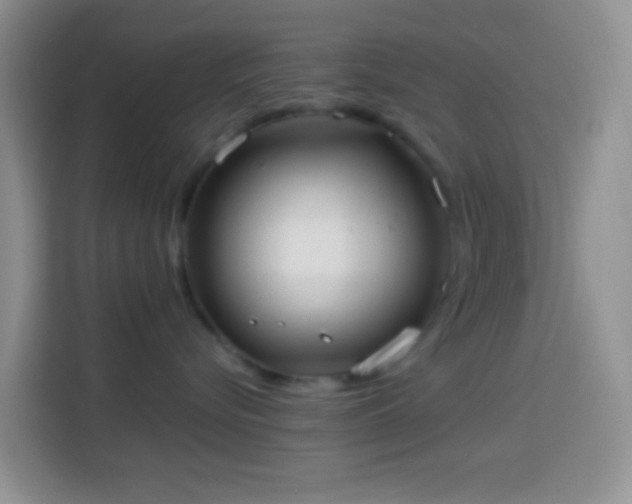 X0000113880576200910011135