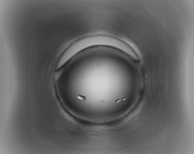 X0000113880577200910011134