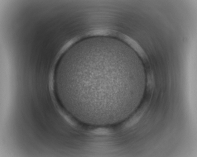 X0000113880578200910011134