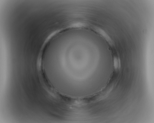 X0000113880579200910011134