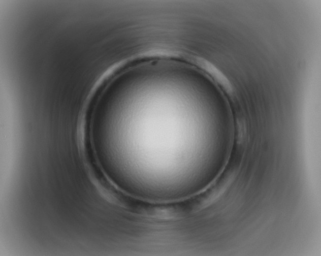 X0000113880580200910011134