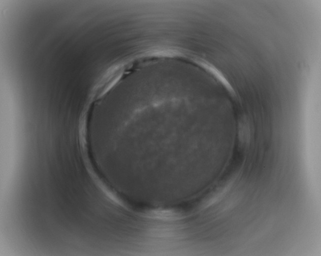 X0000113880581200910011134