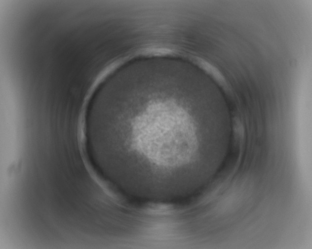 X0000113880582200910011134