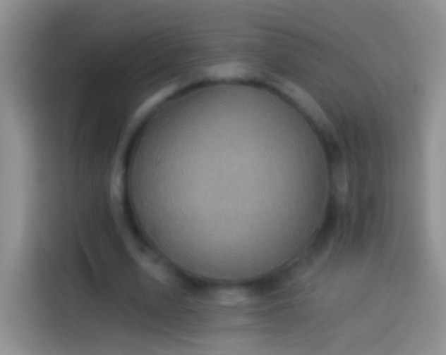 X0000113880583200910011134