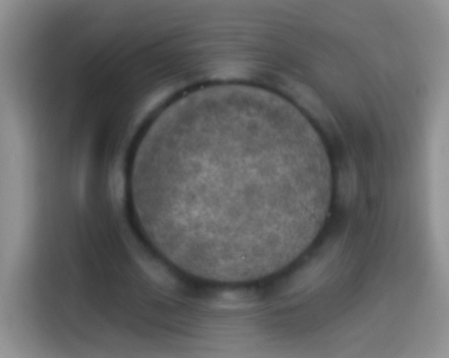 X0000113880584200910011134