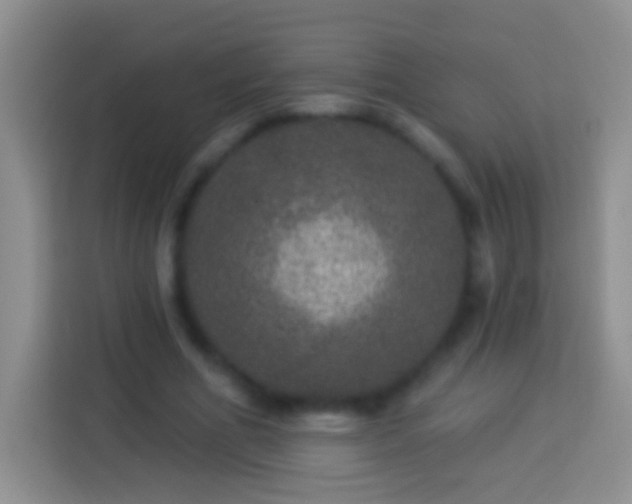 X0000113880586200910011134