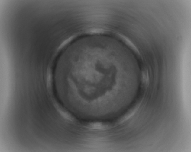 X0000113880588200910011134